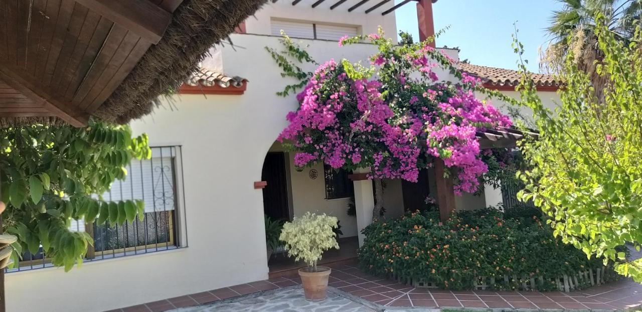 Holiday home Casa Camelias *