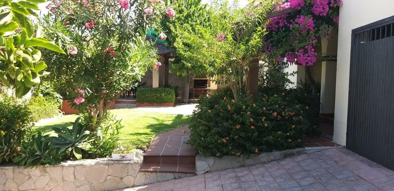 Casa Camelias *